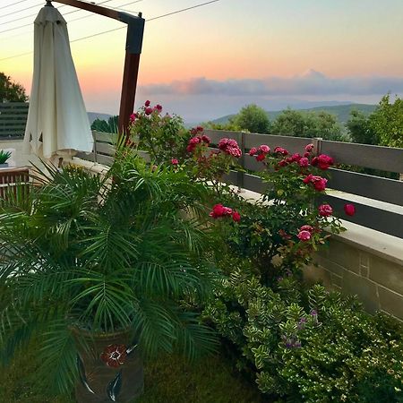 Villa Chryssi Κίσσαμος Εξωτερικό φωτογραφία